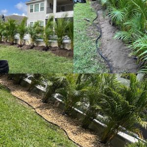 WhatsApp Image 2025-09-17 at 10.08.43_682e355b