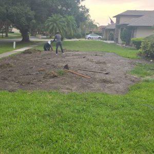 WhatsApp Image 2025-09-17 at 10.08.43_c4752fcd