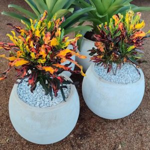 WhatsApp Image 2025-09-17 at 10.08.43_e2da507d