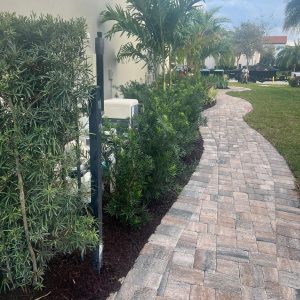 WhatsApp Image 2025-09-17 at 10.08.44_376e1ab6