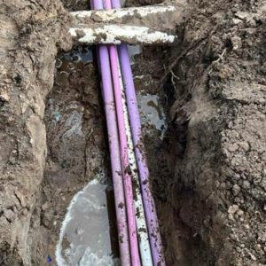 WhatsApp Image 2025-09-17 at 10.08.44_8e6a4893