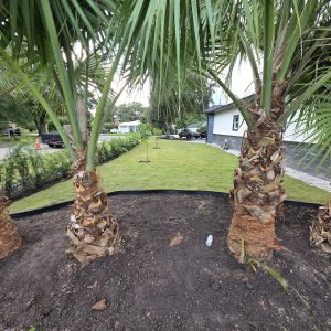 WhatsApp Image 2025-09-17 at 10.11.27_66b91443