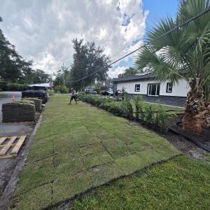 WhatsApp Image 2025-09-17 at 10.11.27_80a203b2