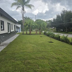 WhatsApp Image 2025-09-17 at 16.16.24_c466d2f4