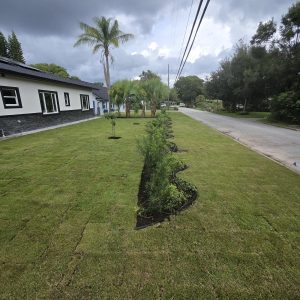 WhatsApp Image 2025-09-17 at 16.16.25_eaf74e15