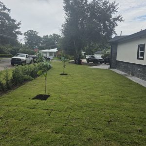 WhatsApp Image 2025-09-17 at 16.16.29_abae11d4